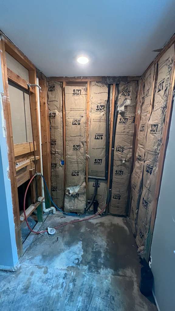 Full gut demo before shower remodel — bare studs, insulation and rough plumbing — Summerville SC